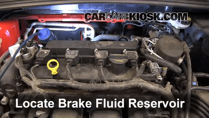 Transmission Fluid Level Check 2012 Ford Focus SE 2.0L 4 Cyl. Sedan